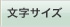 �����T�C�Y