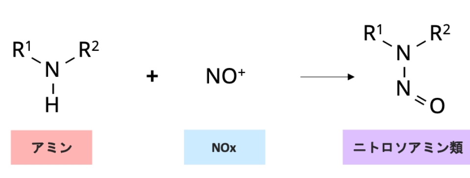 図2 ニトロソアミン類の生成