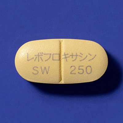 レボフロキサシン錠250mg「サワイ」の製品画像1