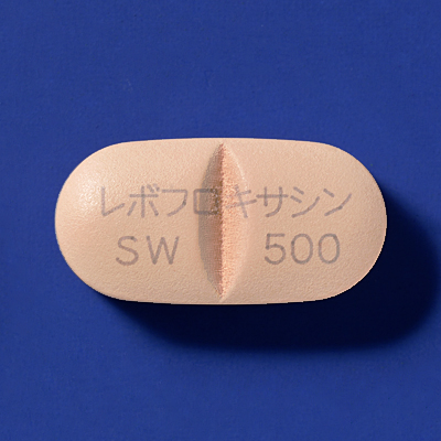 レボフロキサシン錠500mg「サワイ」の製品画像1