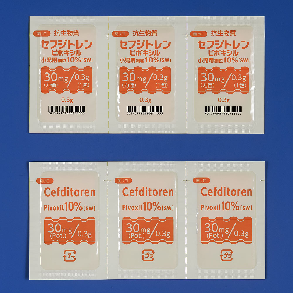 【レアソテツ】種子1粒　色々 レアソテツ】種子1粒 色々