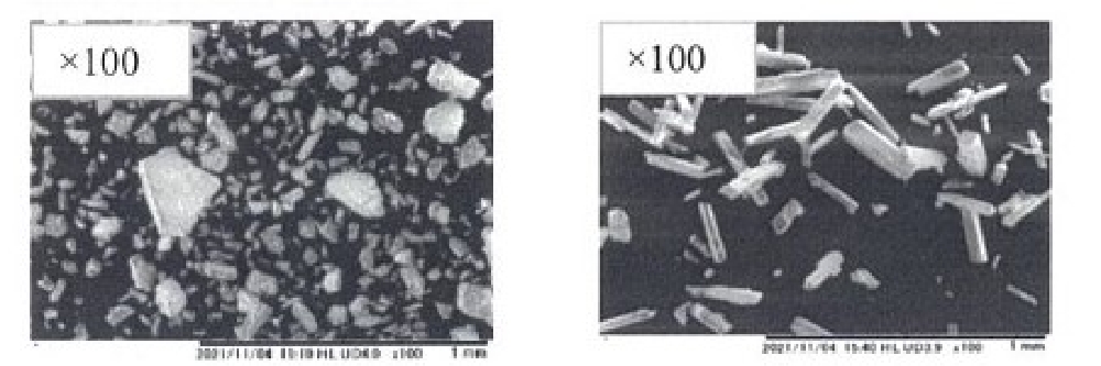 写真1 同じ原薬でも粒子形状やサイズに違いがある事例の顕微鏡拡大図