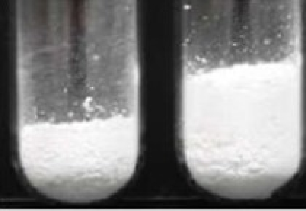 写真2 同じ質量の原薬でもかさ密度に違いがある事例