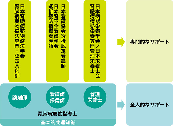 図3　腎臓病薬物療法認定・専門薬剤師と腎臓病療養指導士の位置づけ